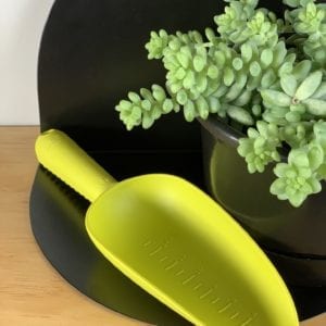 Green Basics Scoop MEDIUM
