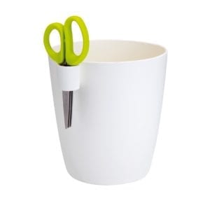 Herbs with Scissors SINGLE