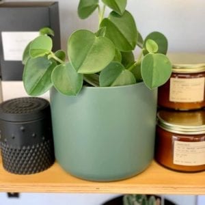 B for Soft Round Cover Pot