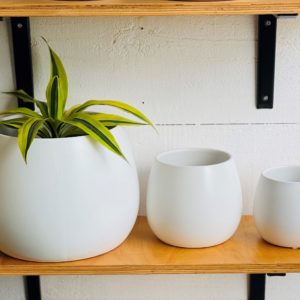 Egg cover pot 15cm