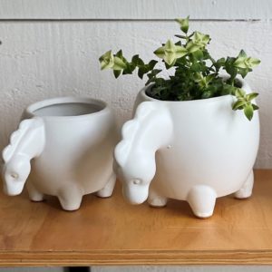 Dino Pots 18cm