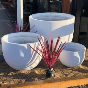 Egg Pot