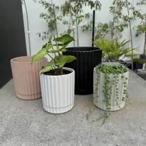 Athens planter medium
