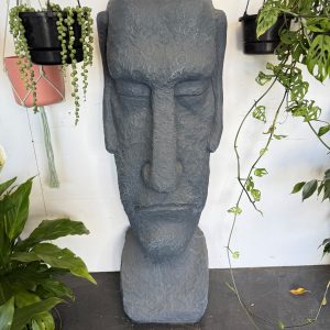 Easter Island Head