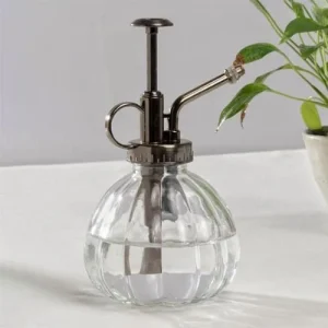 Plant Mister Clear Glass